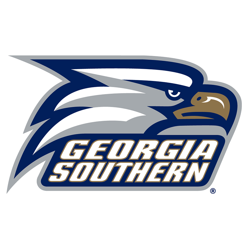 Georgia Southern Eagles iron ons